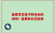 桑黄灵芝孢子粉泡水的功效？桑黄和云芝区别