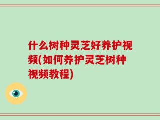 什么树种灵芝好养护视频(如何养护灵芝树种视频教程)