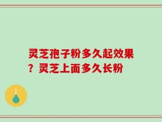 灵芝孢子粉多久起效果？灵芝上面多久长粉