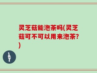 灵芝菇能泡茶吗(灵芝菇可不可以用来泡茶？)