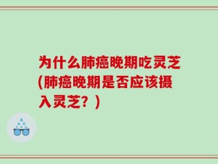 为什么肺癌晚期吃灵芝(肺癌晚期是否应该摄入灵芝？)
