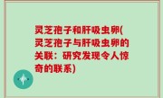 灵芝孢子和肝吸虫卵(灵芝孢子与肝吸虫卵的关联：研究发现令人惊奇的联系)