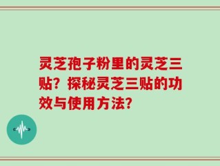 灵芝孢子粉里的灵芝三贴？探秘灵芝三贴的功效与使用方法？