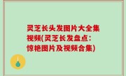 灵芝长头发图片大全集视频(灵芝长发盘点：惊艳图片及视频合集)