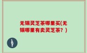 无锡灵芝茶哪里买(无锡哪里有卖灵芝茶？)