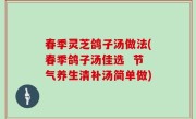 春季灵芝鸽子汤做法(春季鸽子汤佳选  节气养生清补汤简单做)