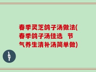春季灵芝鸽子汤做法(春季鸽子汤佳选  节气养生清补汤简单做)
