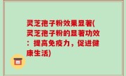灵芝孢子粉效果显著(灵芝孢子粉的显著功效：提高免疫力，促进健康生活)
