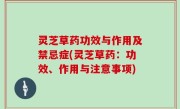 灵芝草药功效与作用及禁忌症(灵芝草药：功效、作用与注意事项)