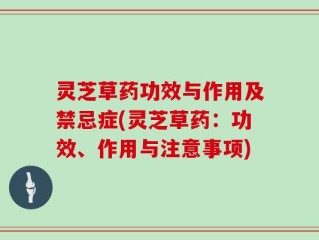 灵芝草药功效与作用及禁忌症(灵芝草药：功效、作用与注意事项)
