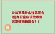 办公室放什么样灵芝合适(办公室应该放哪些灵芝植物最适合？)
