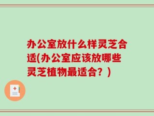 办公室放什么样灵芝合适(办公室应该放哪些灵芝植物最适合？)