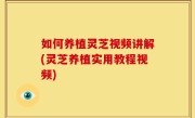 如何养植灵芝视频讲解(灵芝养植实用教程视频)