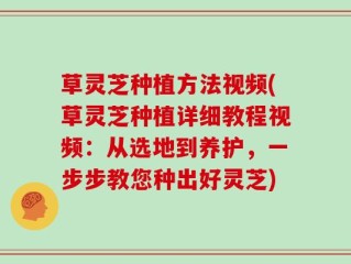 草灵芝种植方法视频(草灵芝种植详细教程视频：从选地到养护，一步步教您种出好灵芝)
