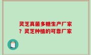 灵芝真菌多糖生产厂家？灵芝种植的可靠厂家