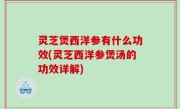 灵芝煲西洋参有什么功效(灵芝西洋参煲汤的功效详解)