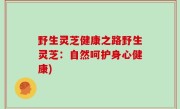 野生灵芝健康之路野生灵芝：自然呵护身心健康)