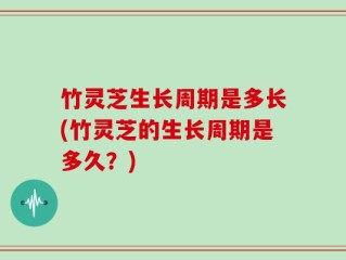 竹灵芝生长周期是多长(竹灵芝的生长周期是多久？)