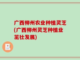 广西柳州农业种植灵芝(广西柳州灵芝种植业茁壮发展)