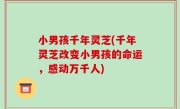 小男孩千年灵芝(千年灵芝改变小男孩的命运，感动万千人)