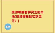 鹰潭哪里有种灵芝的市场(鹰潭哪里能买到灵芝？)
