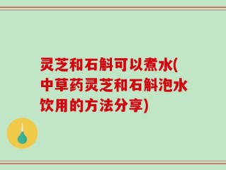 灵芝和石斛可以煮水(中草药灵芝和石斛泡水饮用的方法分享)