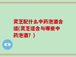 灵芝配什么中药泡酒合适(灵芝适合与哪些中药泡酒？)