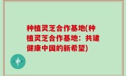 种植灵芝合作基地(种植灵芝合作基地：共建健康中国的新希望)