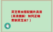 灵芝煮水搭配图片高清(高清图解：如何正确煮制灵芝水？)