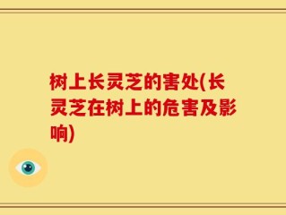 树上长灵芝的害处(长灵芝在树上的危害及影响)