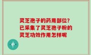 灵芝孢子的药用部位？已采集了灵芝孢子粉的灵芝功效作用怎样呢