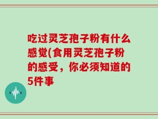 吃过灵芝孢子粉有什么感觉(食用灵芝孢子粉的感受，你必须知道的5件事