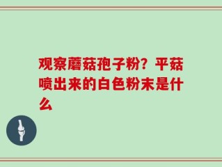 观察蘑菇孢子粉？平菇喷出来的白色粉末是什么