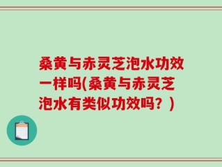 桑黄与赤灵芝泡水功效一样吗(桑黄与赤灵芝泡水有类似功效吗？)