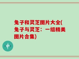 兔子和灵芝图片大全(兔子与灵芝：一组精美图片合集)