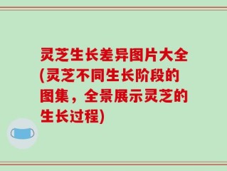 灵芝生长差异图片大全(灵芝不同生长阶段的图集，全景展示灵芝的生长过程)