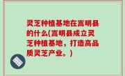 灵芝种植基地在嵩明县的什么(嵩明县成立灵芝种植基地，打造高品质灵芝产业。)