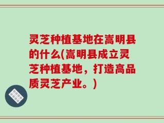 灵芝种植基地在嵩明县的什么(嵩明县成立灵芝种植基地，打造高品质灵芝产业。)