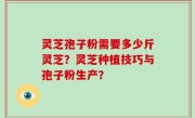 灵芝孢子粉需要多少斤灵芝？灵芝种植技巧与孢子粉生产？