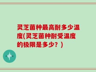 灵芝菌种最高耐多少温度(灵芝菌种耐受温度的极限是多少？)