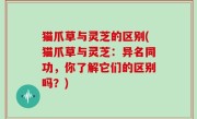猫爪草与灵芝的区别(猫爪草与灵芝：异名同功，你了解它们的区别吗？)
