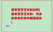 猪骨煲灵芝石斛功效(猪骨煲灵芝石斛：为身体带来的多种健康益处)