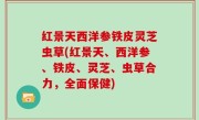 红景天西洋参铁皮灵芝虫草(红景天、西洋参、铁皮、灵芝、虫草合力，全面保健)