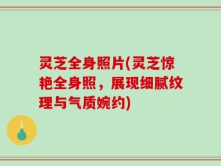 灵芝全身照片(灵芝惊艳全身照，展现细腻纹理与气质婉约)