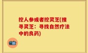 挖人参或者挖灵芝(搜寻灵芝：寻找自然疗法中的良药)