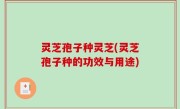 灵芝孢子种灵芝(灵芝孢子种的功效与用途)
