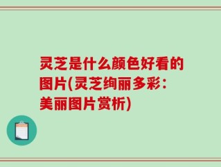 灵芝是什么颜色好看的图片(灵芝绚丽多彩：美丽图片赏析)