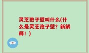 灵芝孢子壁叫什么(什么是灵芝孢子壁？新解释！)