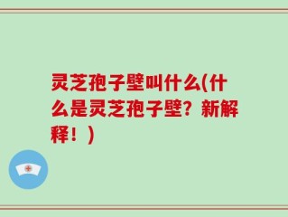 灵芝孢子壁叫什么(什么是灵芝孢子壁？新解释！)