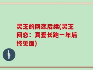 灵芝的网恋后续(灵芝网恋：真爱长跑一年后终见面)